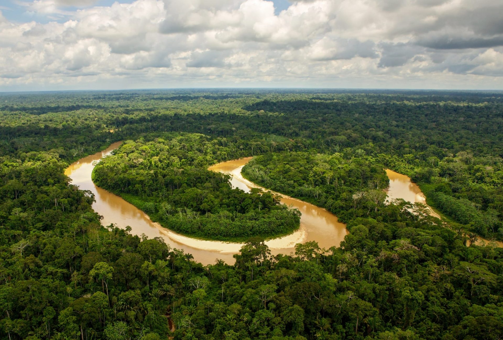 P Durea Amazonului Din Brazilia   Padure Amazoniana Lawjluai 